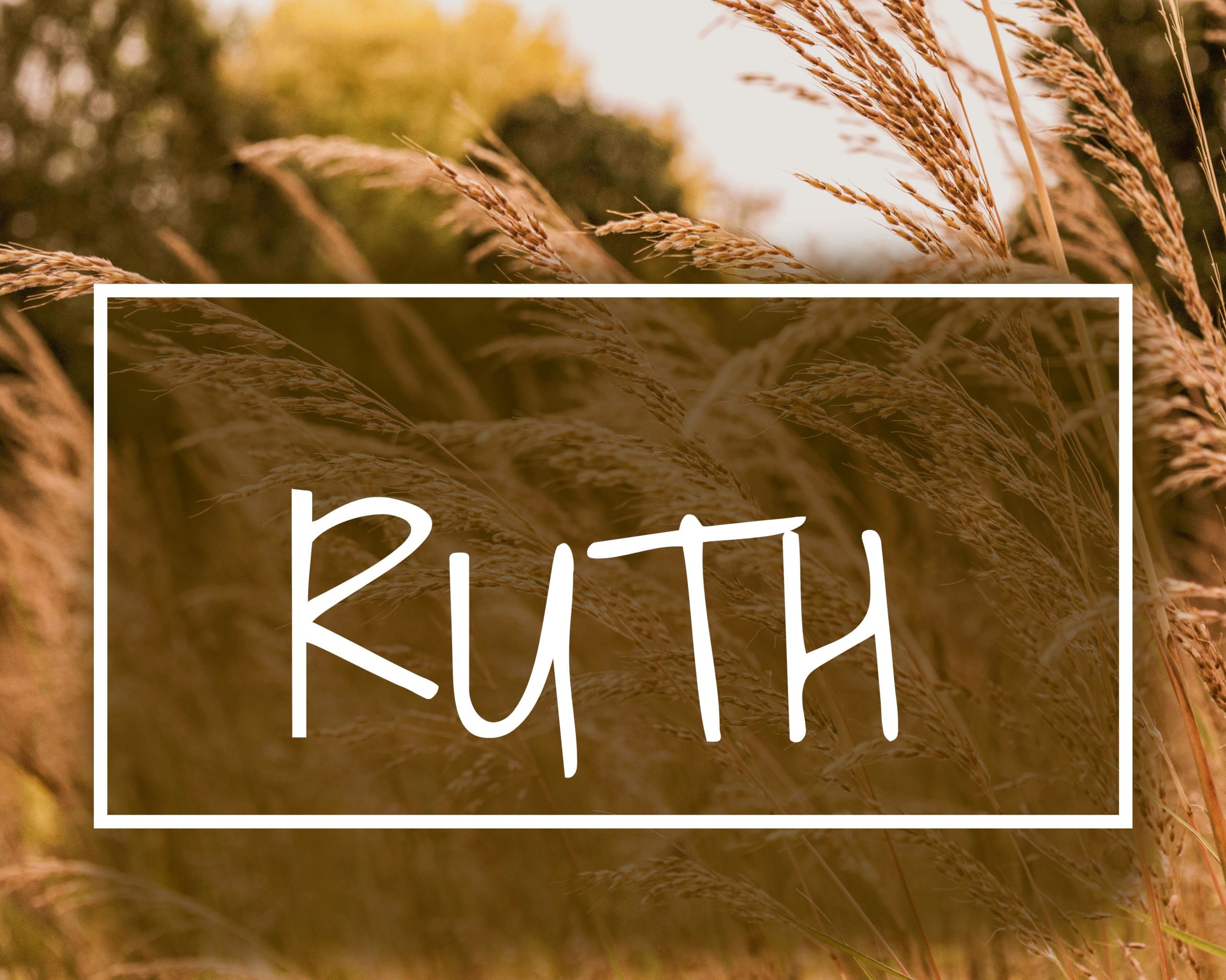 The Story of Ruth: The Heart of a Good Story